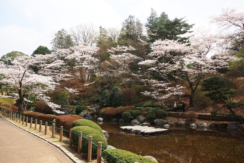 八幡山公園 八幡山公園