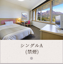 シングルA（禁煙）